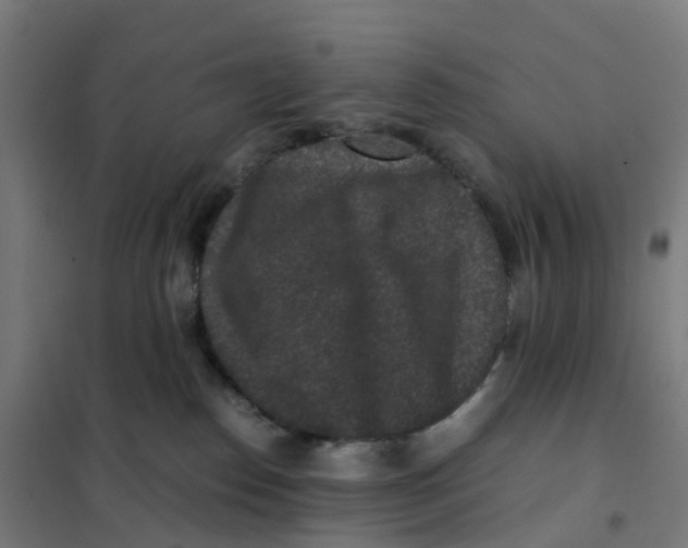 X0000101710186200808071232