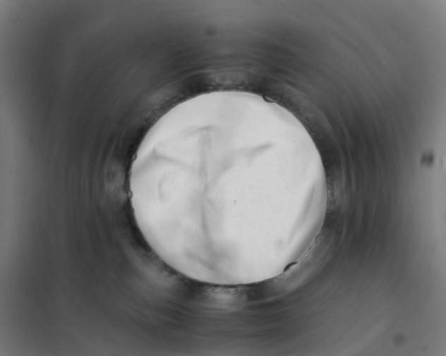 X0000101710187200808071232