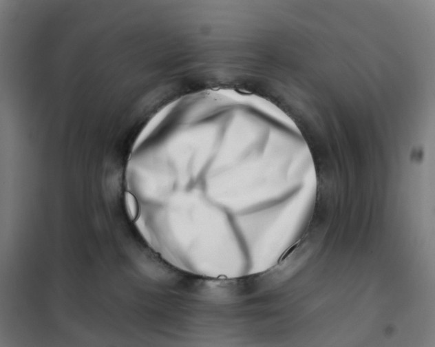 X0000101710188200808071232