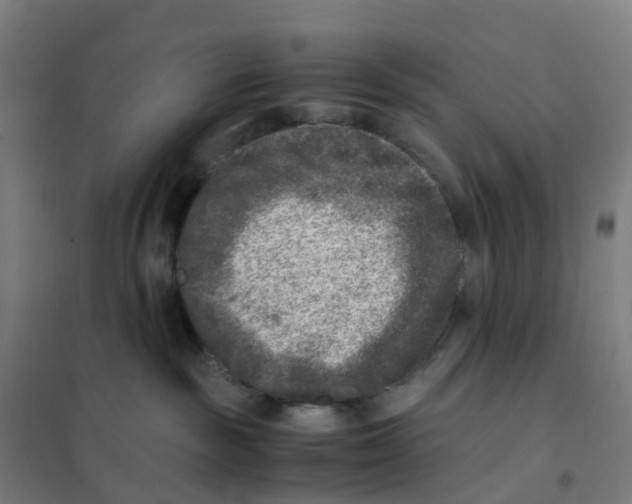 X0000101710189200808071232