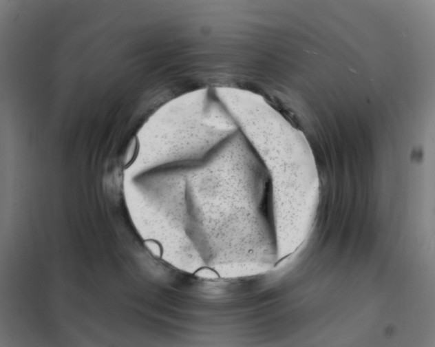 X0000101710190200808071232