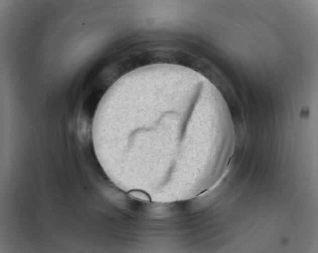 X0000101710191200808071232
