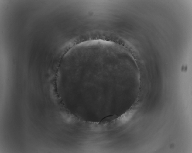 X0000101710192200808071232