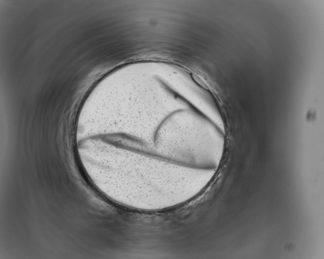 X0000101710193200808071231