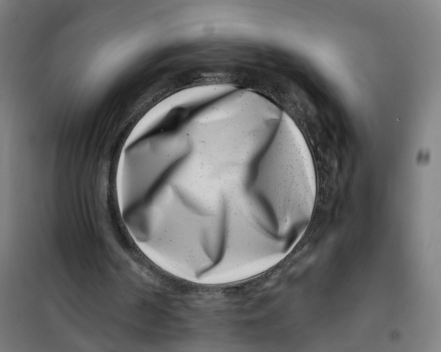 X0000101710194200808071231