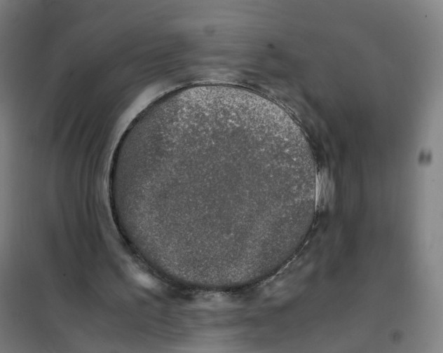 X0000101710195200808071231