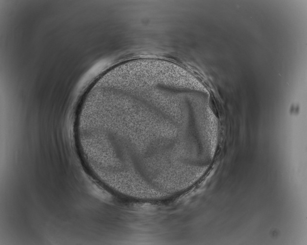 X0000101710197200808071231