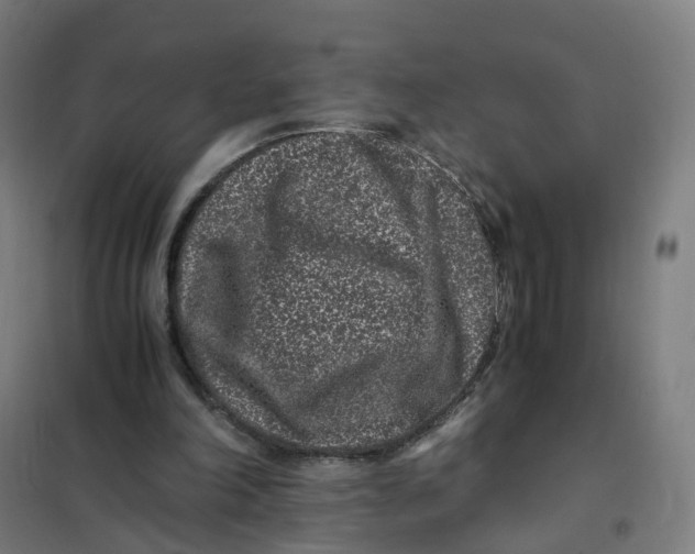 X0000101710198200808071231
