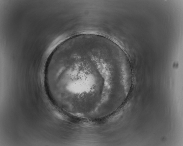 X0000101710199200808071231