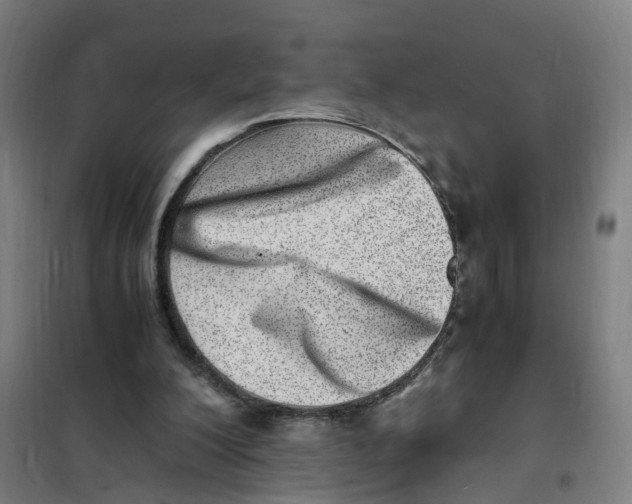 X0000101710200200808071231