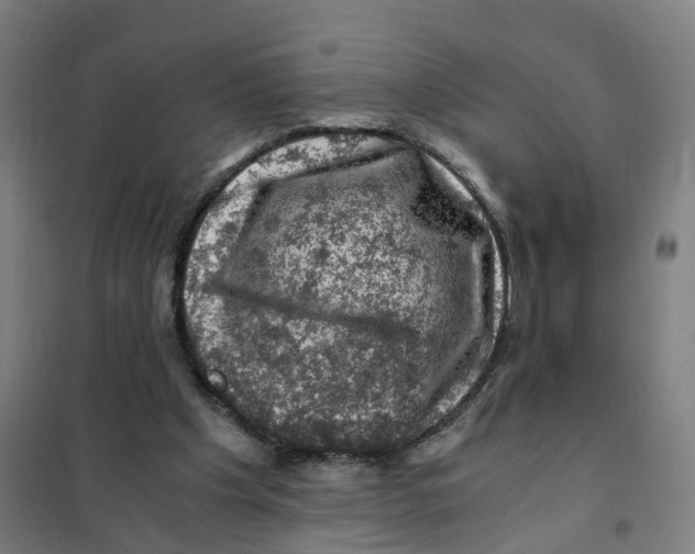 X0000101710201200808071231