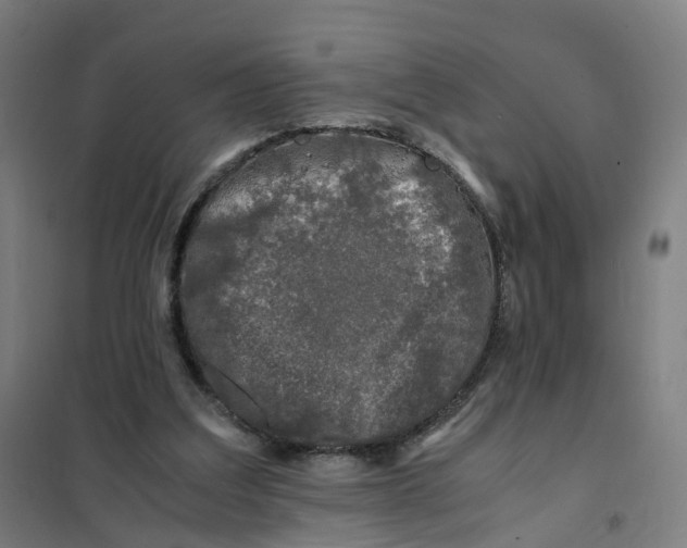 X0000101710203200808071231
