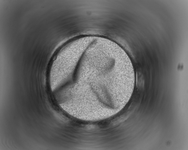 X0000101710204200808071231