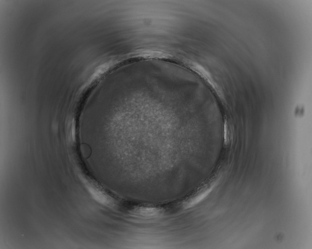 X0000101710205200808071231