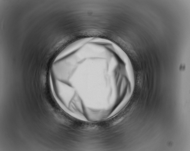 X0000101710206200808071231