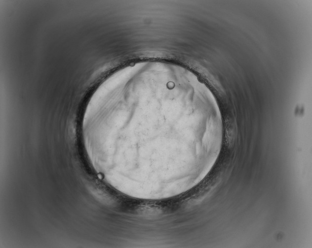 X0000101710207200808071231