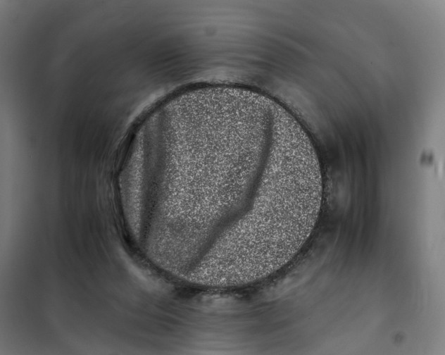 X0000101710208200808071231