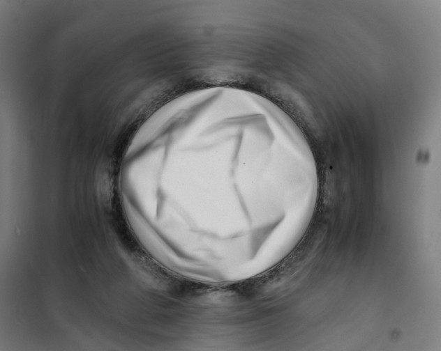 X0000101710210200808071231