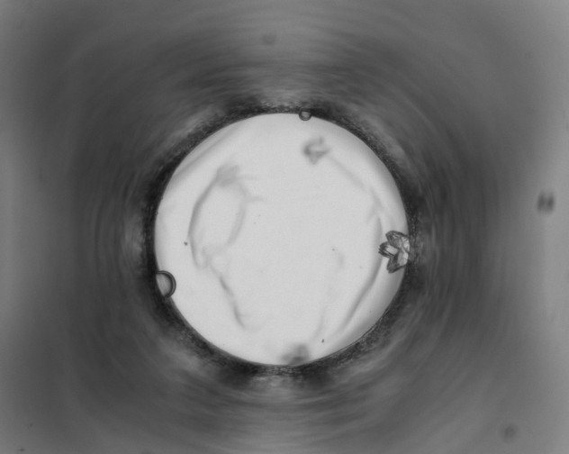 X0000101710211200808071231
