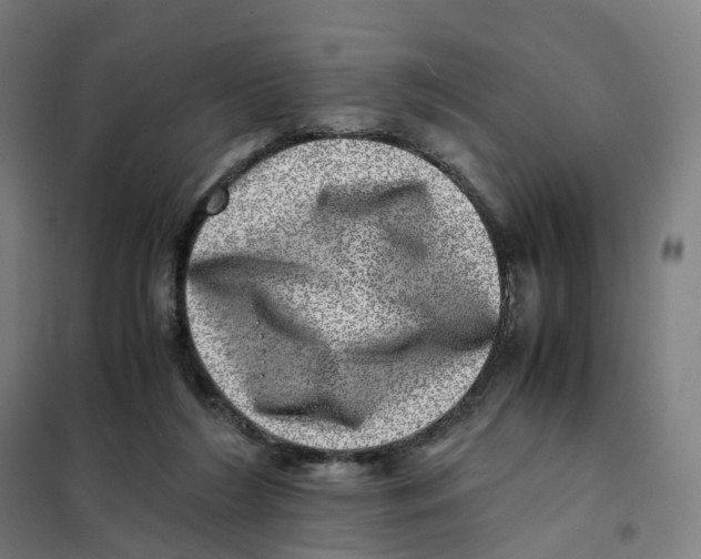 X0000101710212200808071231