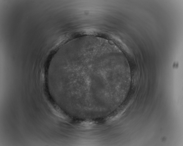 X0000101710213200808071231