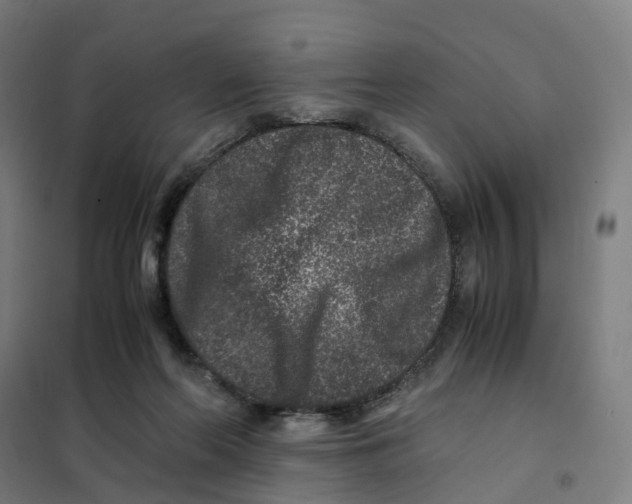 X0000101710214200808071231