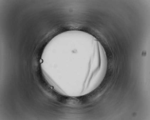 X0000101710215200808071231