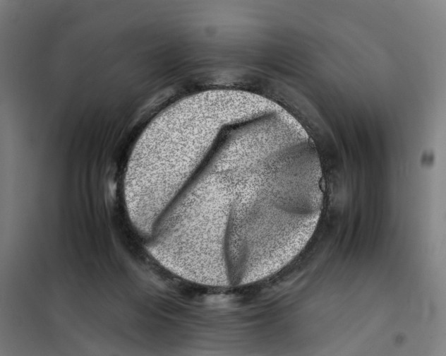X0000101710216200808071231