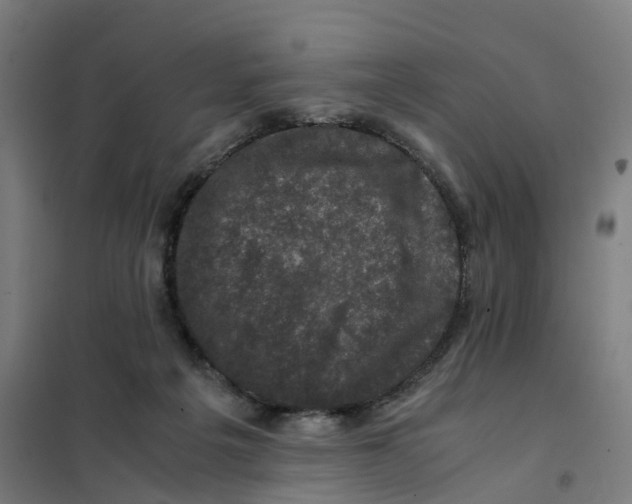 X0000101710217200808071231