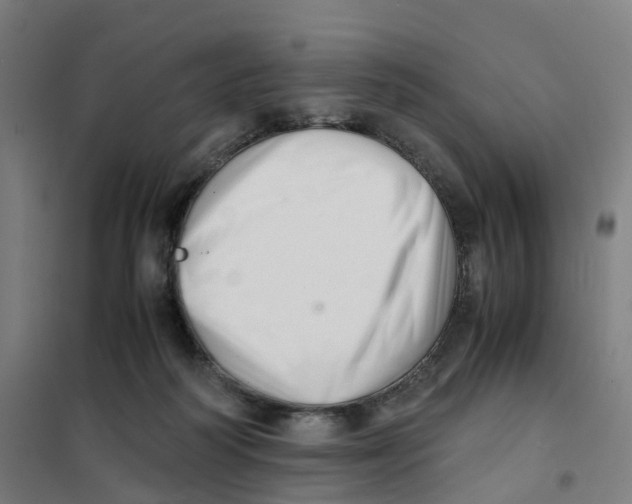 X0000101710218200808071231