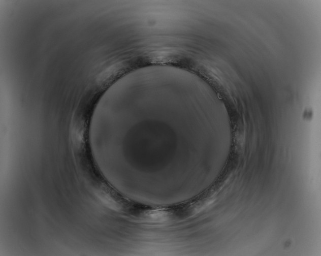 X0000101710219200808071231