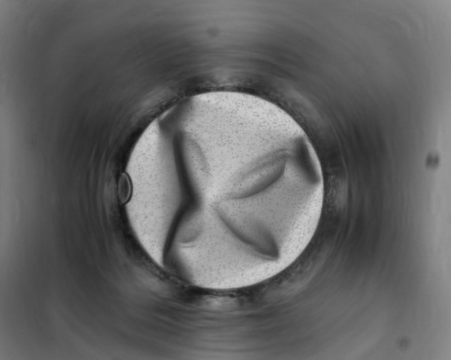 X0000101710220200808071231
