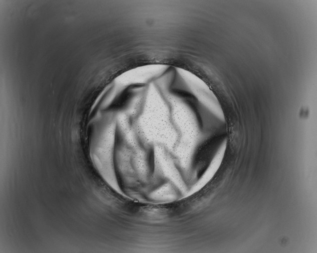 X0000101710221200808071231