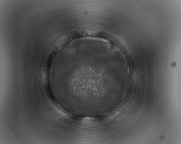 X0000101710222200808071231