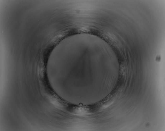 X0000101710223200808071231