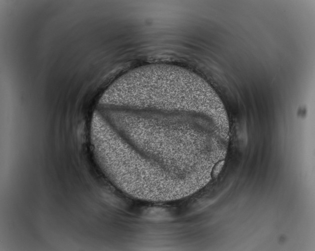 X0000101710224200808071231