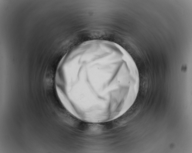 X0000101710226200808071231