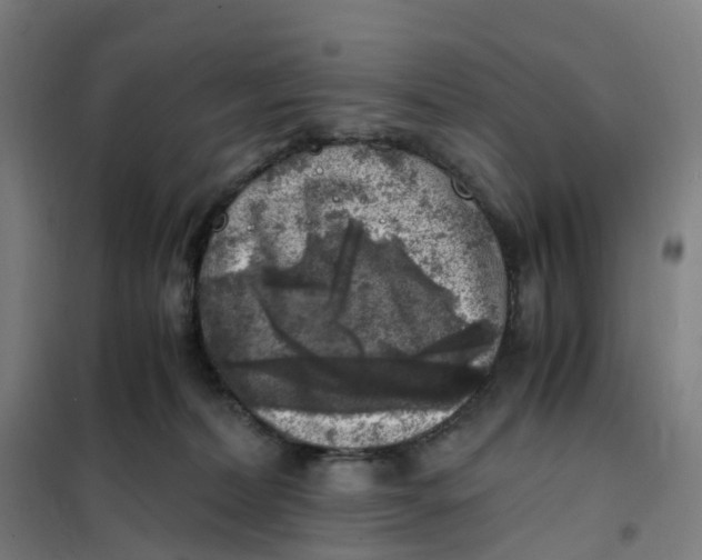X0000101710228200808071231