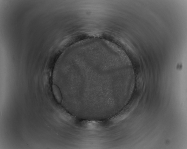 X0000101710229200808071230