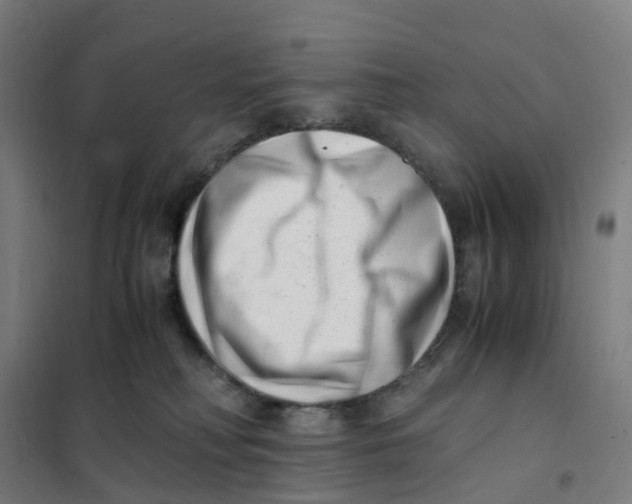 X0000101710230200808071230