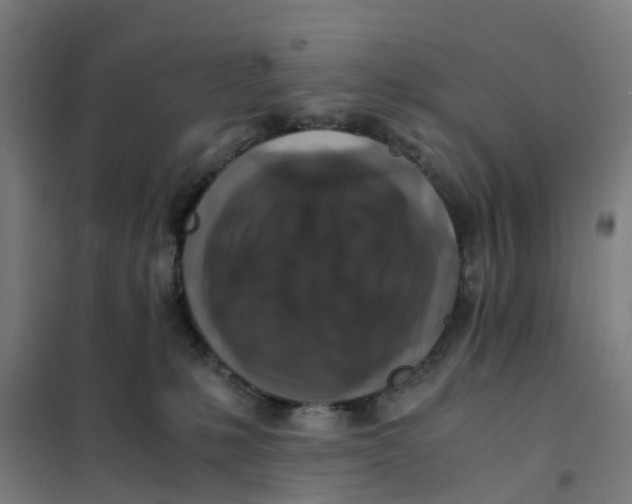 X0000101710231200808071230