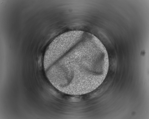 X0000101710232200808071230