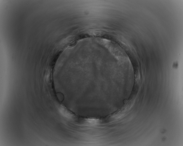 X0000101710233200808071230