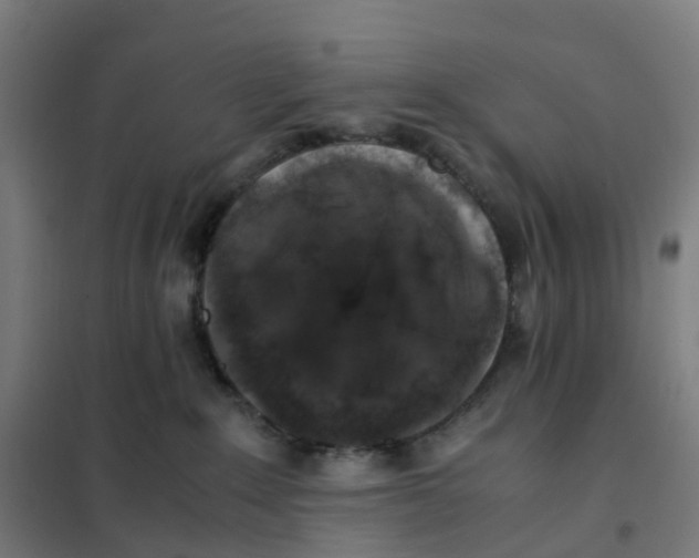 X0000101710235200808071230