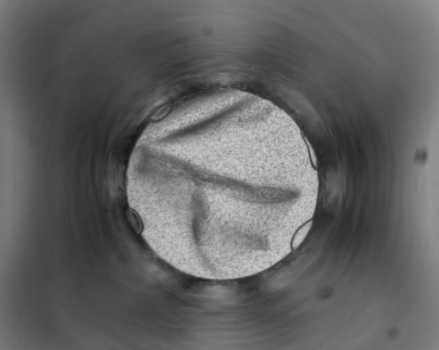 X0000101710236200808071230