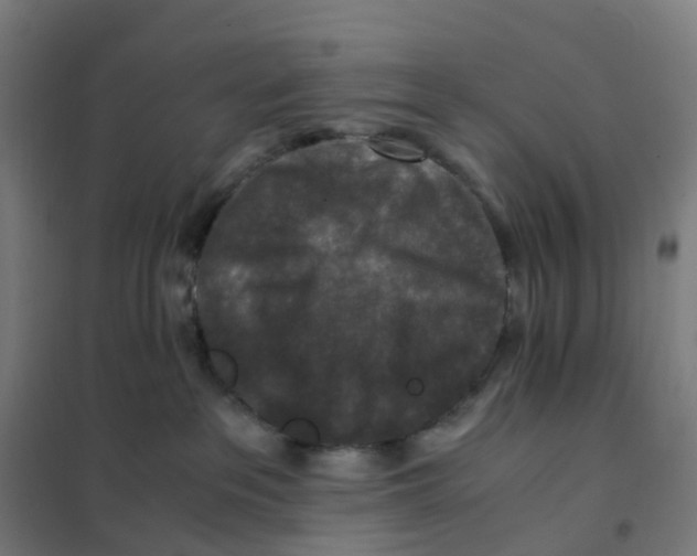 X0000101710237200808071230