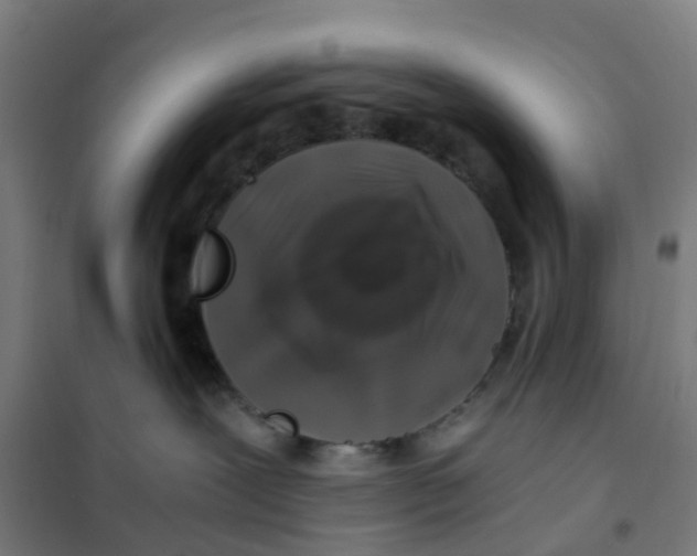 X0000101710239200808071230