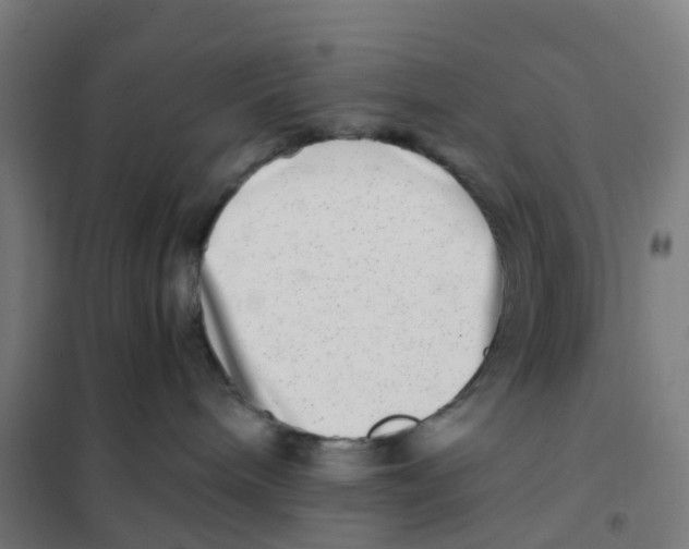 X0000101710240200808071230