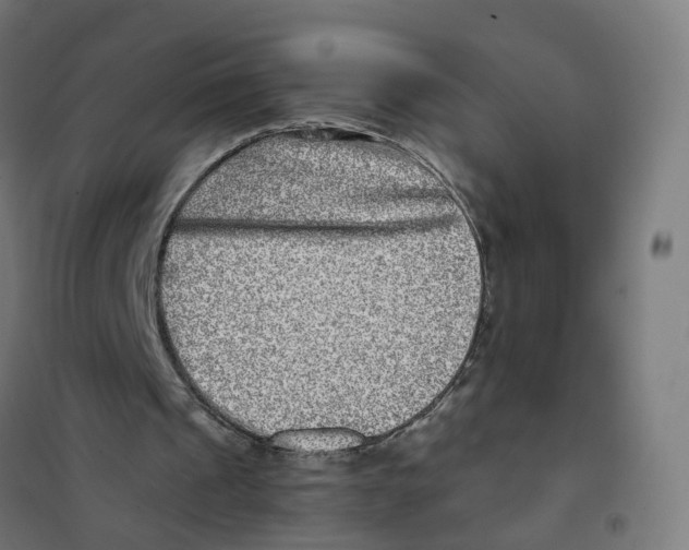 X0000101710241200808071230