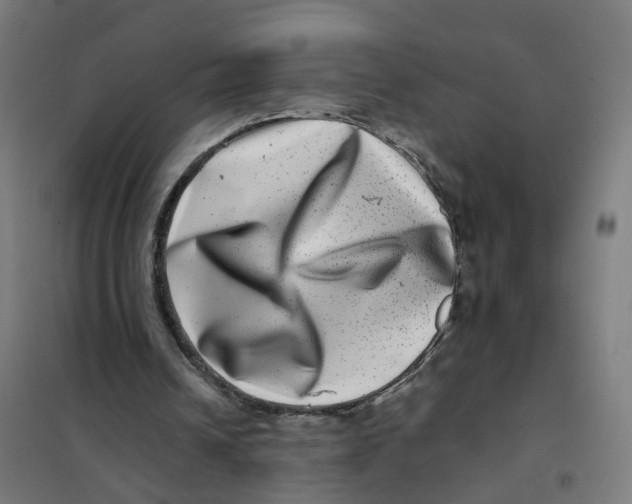 X0000101710242200808071230